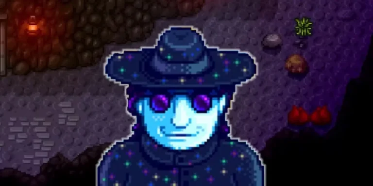 Stardew Valley Mr Qi